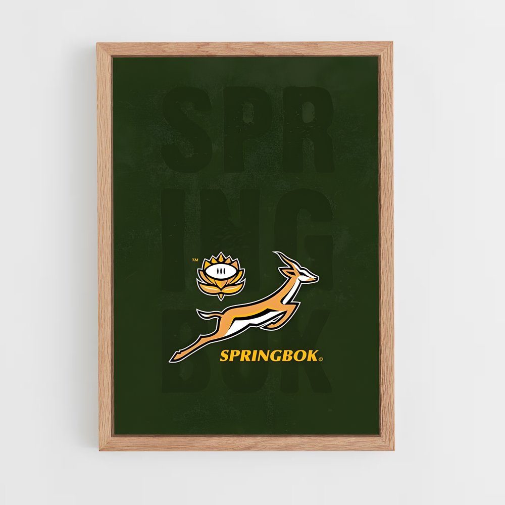 Poster Springboks Spirit – affiche Rugby (vue 4)